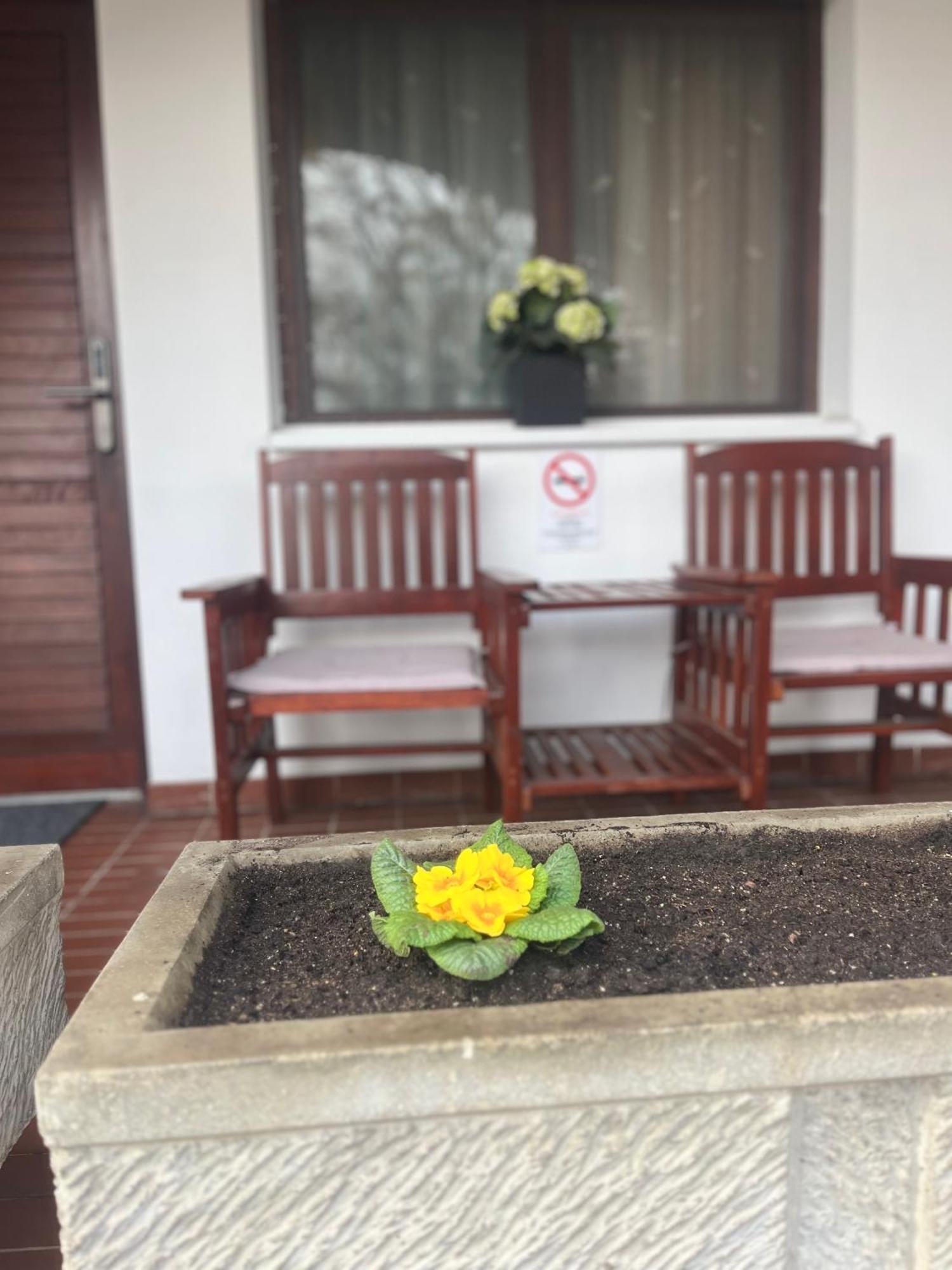 Hotel Oswaldo Βουδαπέστη Εξωτερικό φωτογραφία